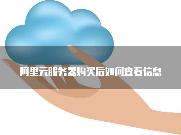 阿里云服务器购买后如何查看信息