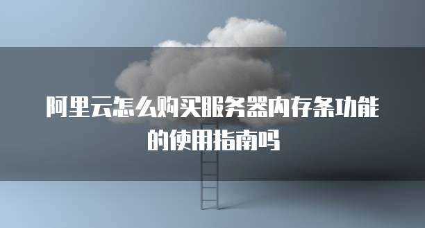 阿里云怎么购买服务器内存条功能的使用指南吗