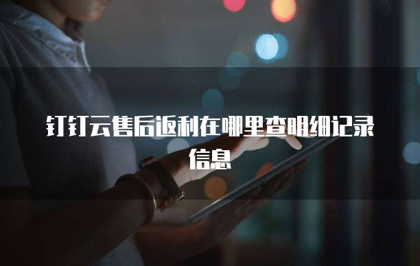 钉钉云售后返利在哪里查明细记录信息