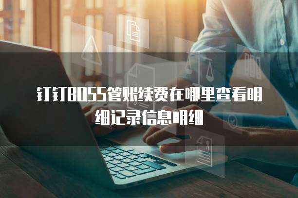 钉钉boss管账续费在哪里查看明细记录信息明细