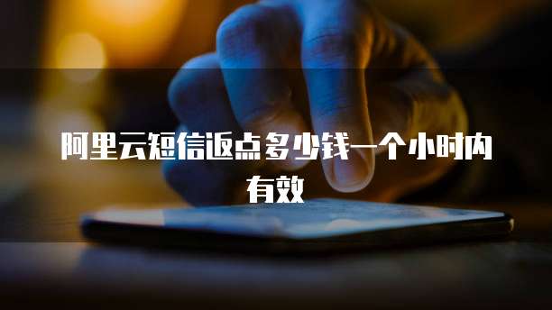 阿里云短信返点多少钱一个小时内有效