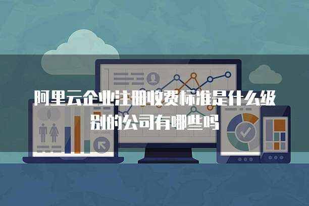 阿里云企业注册收费标准是什么级别的公司有哪些吗