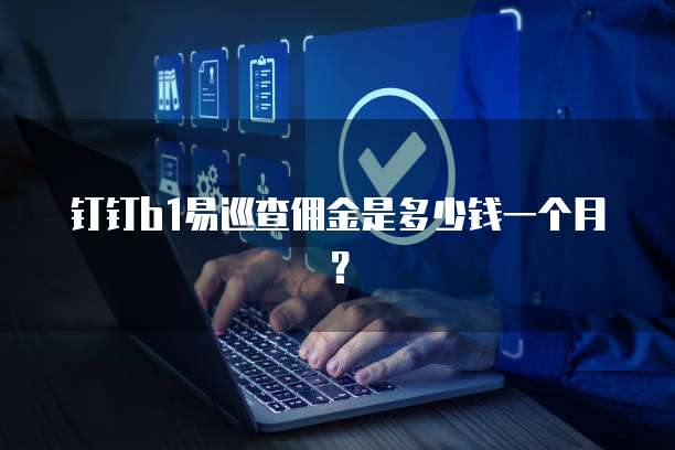 钉钉b1易巡查佣金是多少钱一个月?
