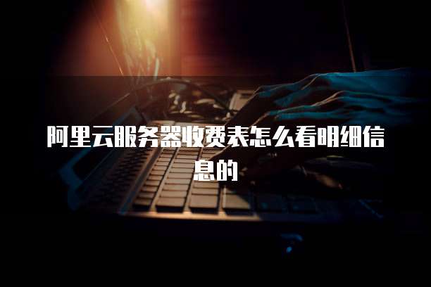 阿里云服务器收费表怎么看明细信息的