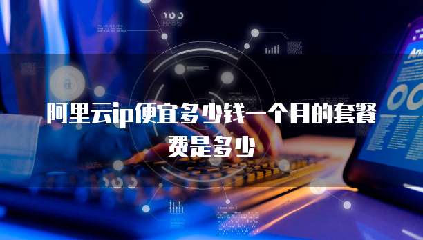 阿里云ip便宜多少钱一个月的套餐费是多少