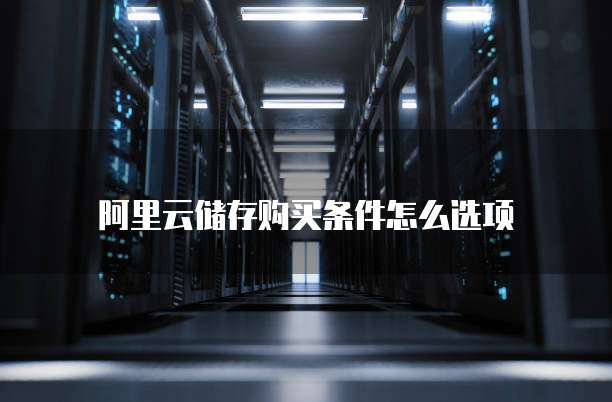 阿里云储存购买条件怎么选项