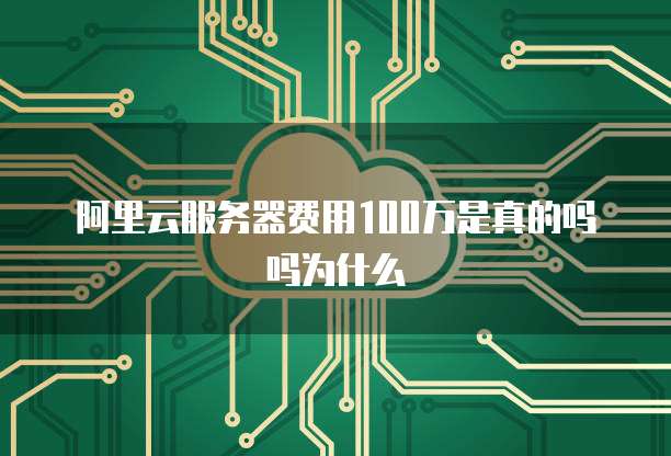 阿里云服务器费用100万是真的吗吗为什么