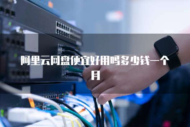 阿里云网盘便宜好用吗多少钱一个月