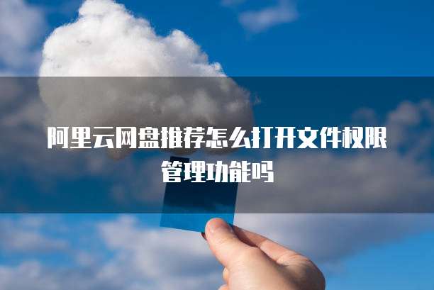 阿里云网盘推荐怎么打开文件权限管理功能吗