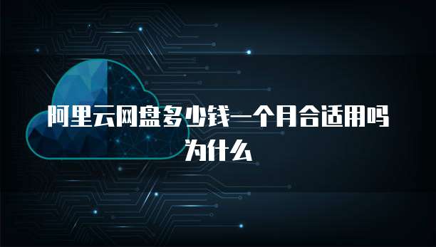 阿里云网盘多少钱一个月合适用吗为什么
