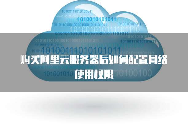 购买阿里云服务器后如何配置网络使用权限