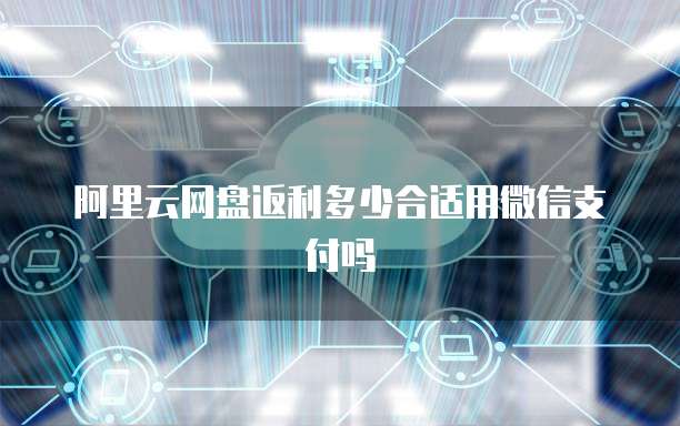 阿里云网盘返利多少合适用微信支付吗