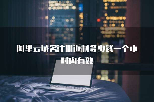 阿里云域名注册返利多少钱一个小时内有效