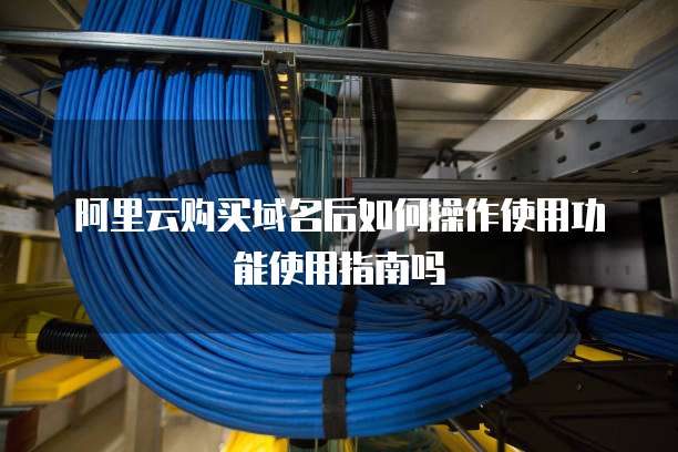 阿里云购买域名后如何操作使用功能使用指南吗