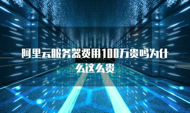 阿里云服务器费用100万贵吗为什么这么贵