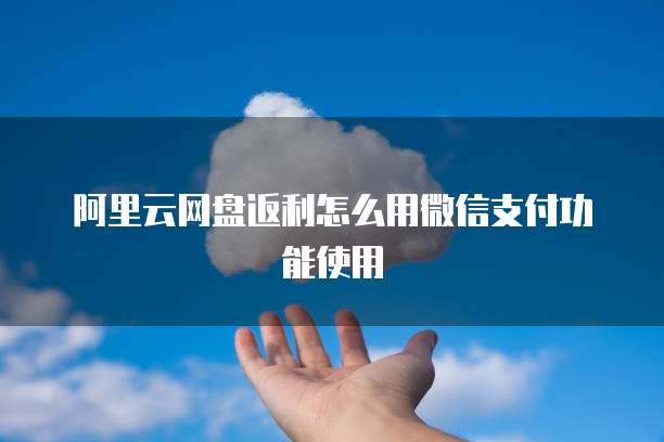 阿里云网盘返利怎么用微信支付功能使用