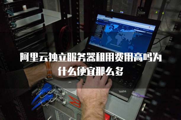 阿里云独立服务器租用费用高吗为什么便宜那么多