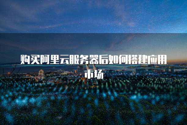 购买阿里云服务器后如何搭建应用市场