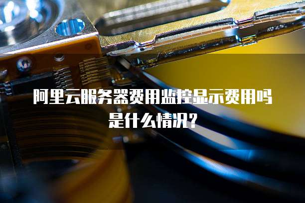 阿里云服务器费用监控显示费用吗是什么情况?