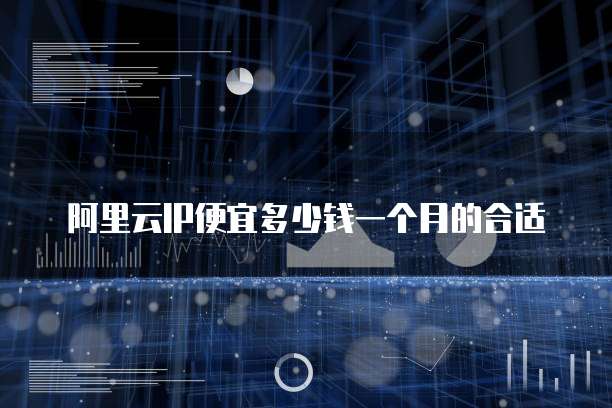阿里云IP便宜多少钱一个月的合适
