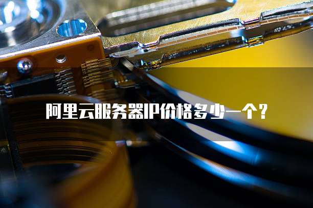 阿里云服务器IP价格多少一个?