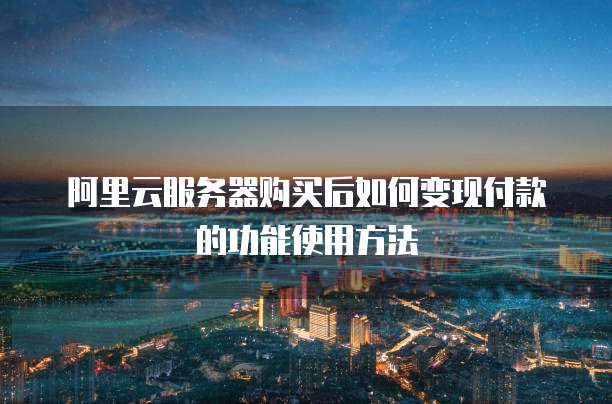 阿里云服务器购买后如何变现付款的功能使用方法