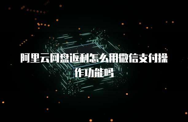 阿里云网盘返利怎么用微信支付操作功能吗
