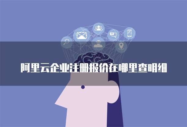 阿里云企业注册报价在哪里查明细