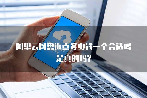阿里云网盘返点多少钱一个合适吗是真的吗?