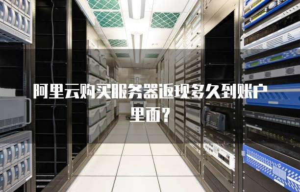 阿里云购买服务器返现多久到账户里面?