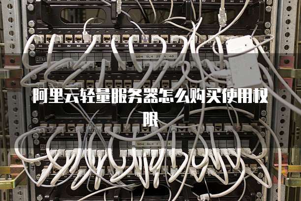 阿里云轻量服务器怎么购买使用权限