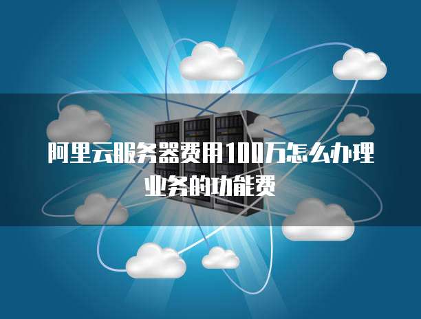 阿里云服务器费用100万怎么办理业务的功能费