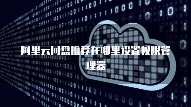 阿里云网盘推荐在哪里设置权限管理器