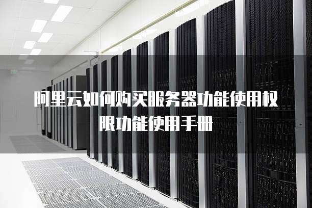 阿里云如何购买服务器功能使用权限功能使用手册