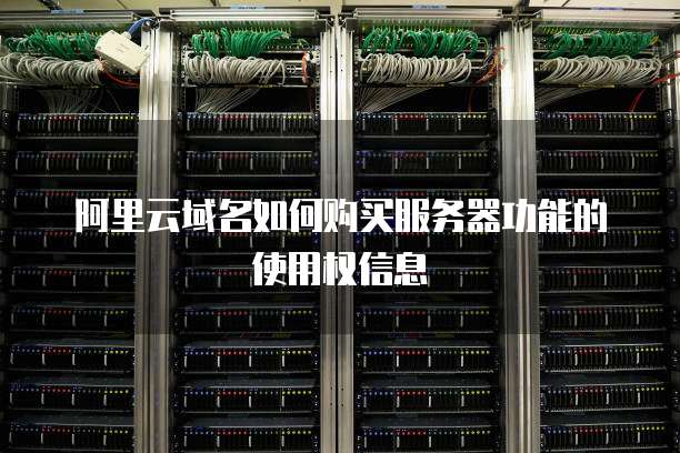 阿里云域名如何购买服务器功能的使用权信息
