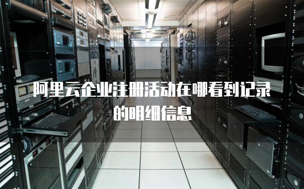 阿里云企业注册活动在哪看到记录的明细信息