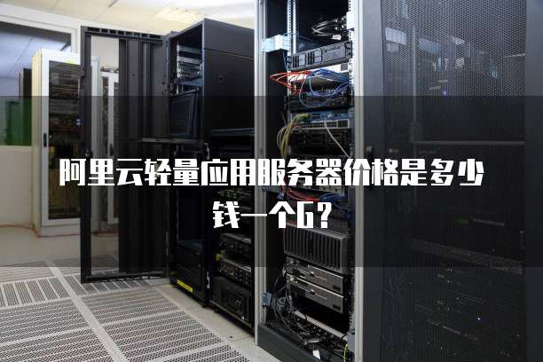 阿里云轻量应用服务器价格是多少钱一个G？