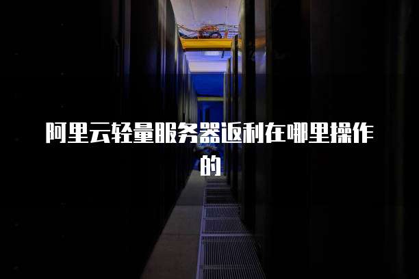 阿里云轻量服务器返利在哪里操作的