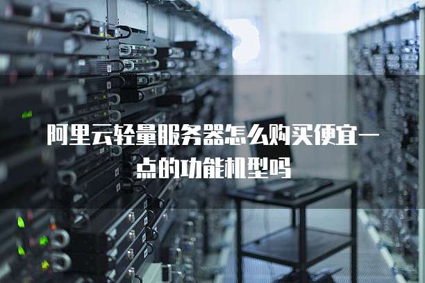 阿里云轻量服务器怎么购买便宜一点的功能机型吗