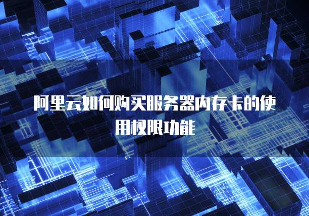 阿里云如何购买服务器内存卡的使用权限功能