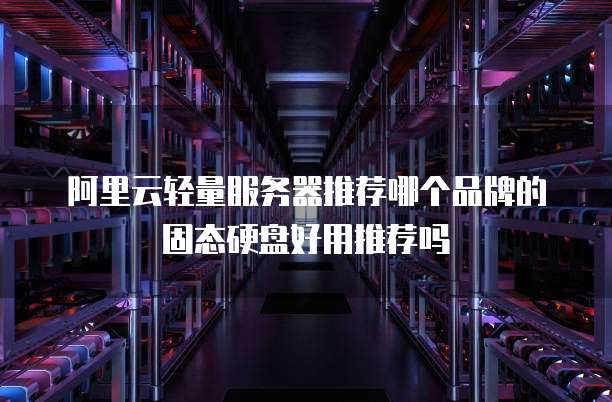阿里云轻量服务器推荐哪个品牌的固态硬盘好用推荐吗