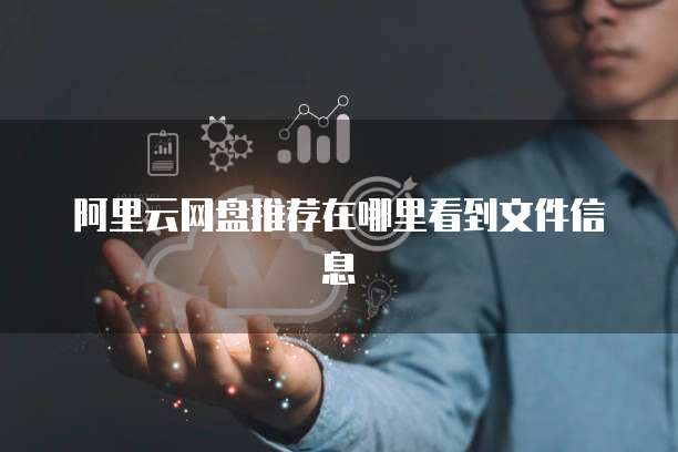 阿里云网盘推荐在哪里看到文件信息