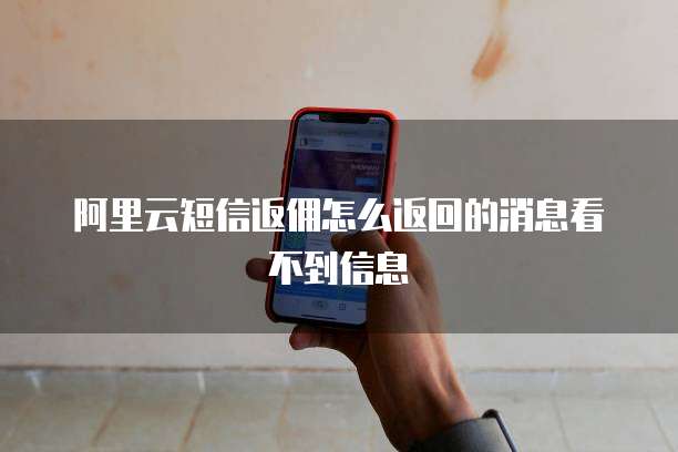 阿里云短信返佣怎么返回的消息看不到信息