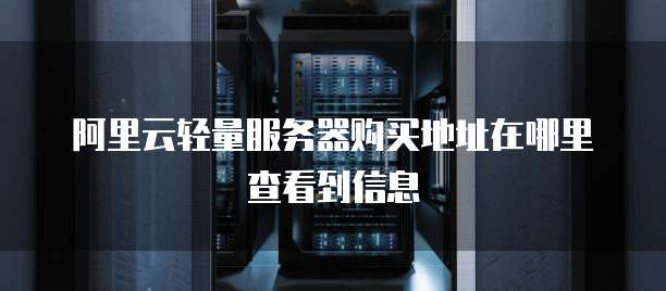 阿里云轻量服务器购买地址在哪里查看到信息