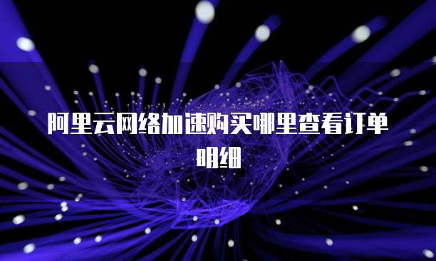阿里云网络加速购买哪里查看订单明细