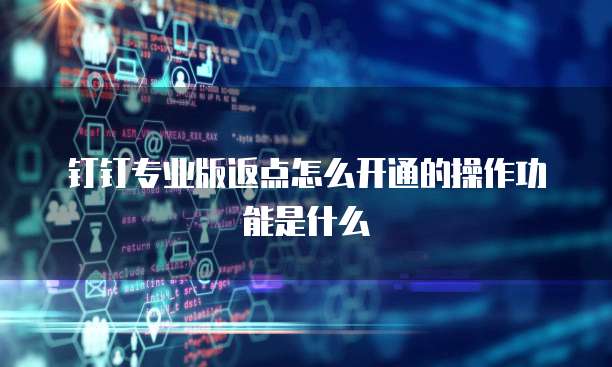 钉钉专业版返点怎么开通的操作功能是什么
