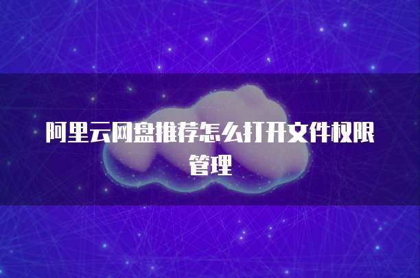 阿里云网盘推荐怎么打开文件权限管理