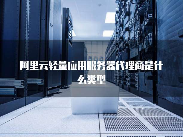 阿里云轻量应用服务器代理商是什么类型