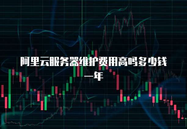 阿里云服务器维护费用高吗多少钱一年