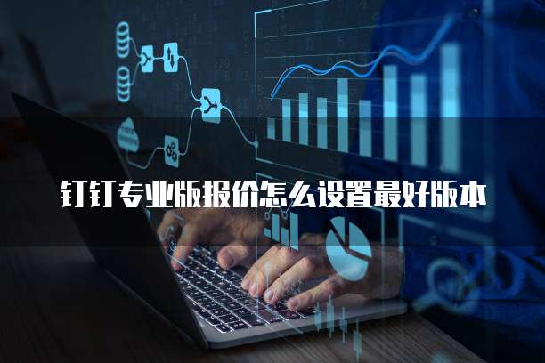 钉钉专业版报价怎么设置最好版本